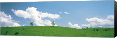 Framed Grassland with blue sky and clouds Print