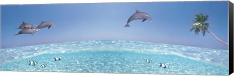 Framed Dolphins Leaping In Air Print