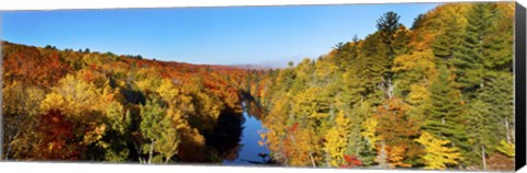 Framed Trees in Autumn at Dead River, Michigan Print