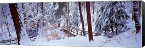 Framed Winter footbridge Cleveland Metro Parks, Cleveland OH USA Print