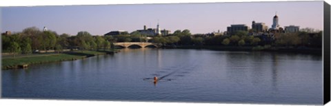 Framed Boat in a river, Charles River, Boston &amp; Cambridge, Massachusetts, USA Print