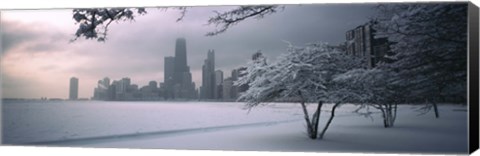 Framed Snow covered tree on the beach with a city in the background, North Avenue Beach, Chicago, Illinois, USA Print