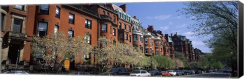 Framed Buildings in a street, Commonwealth Avenue, Boston, Suffolk County, Massachusetts, USA Print