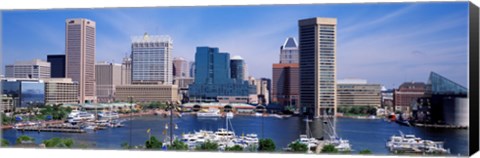 Framed Inner Harbor Federal Hill Skyline Baltimore MD Print