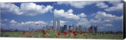 Framed Red Flowers in a park with buildings in the background, Manhattan Print