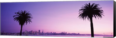 Framed San Francisco skyline between 2 palm trees, California Print