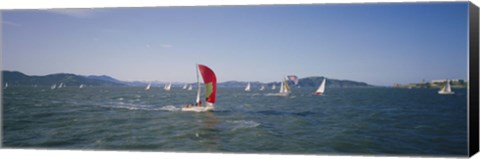 Framed Sailboats in the water, San Francisco Bay, California, USA Print