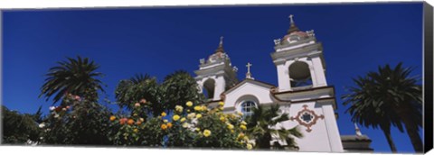 Framed Plants in front of a cathedral, Portuguese Cathedral, San Jose, Silicon Valley, Santa Clara County, California, USA Print