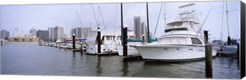 Framed Yachts at a harbor with buildings in the background, Corpus Christi, Texas, USA Print