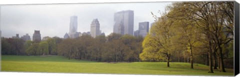 Framed Foggy view of trees and buildings, Central Park, Manhattan, New York City, New York State, USA Print