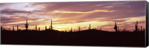 Framed Purple and Orange Sky Over Saguaro Nataional Park, Arizona Print