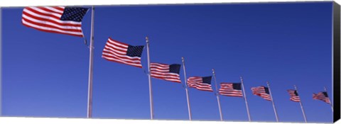 Framed Low angle view of American flags, Washington Monument, Washington DC, USA Print