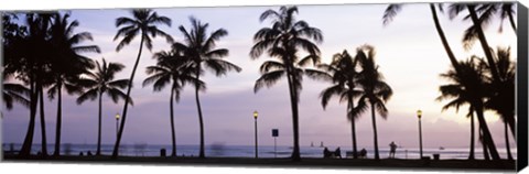 Framed Palm trees on the beach, Waikiki, Honolulu, Oahu, Hawaii (black and white) Print