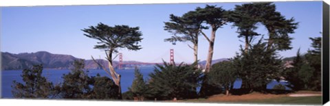 Framed Suspension bridge across a bay, Golden Gate Bridge, San Francisco Bay, San Francisco, California, USA Print