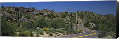 Framed Road Through The Desert, Phoenix, Arizona, USA Print