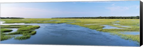 Framed Sea grass in the sea, Atlantic Coast, Jacksonville, Florida, USA Print