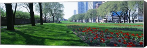 Framed Public Gardens, Loop, Cityscape, Grant Park, Chicago, Illinois, USA Print