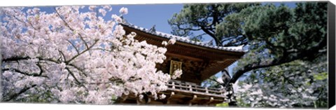 Framed Golden Gate Park, Japanese Tea Garden Print