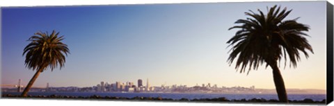 Framed Palm Trees At Dusk, San Francisco, California, USA Print