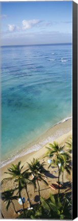 Framed High angle view of palm trees with beach umbrellas on the beach, Waikiki Beach, Honolulu, Oahu, Hawaii, USA Print