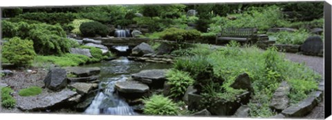 Framed River Flowing Through A Forest, Inniswood Metro Gardens, Columbus, Ohio, USA Print