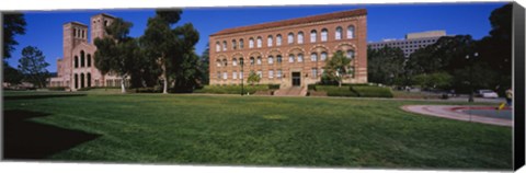 Framed Lawn in front of a Royce Hall and Haines Hall, University of California, City of Los Angeles, California, USA Print