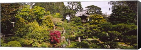 Framed Cottage in a park, Japanese Tea Garden, Golden Gate Park, San Francisco, California, USA Print