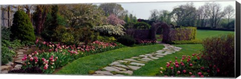 Framed Flowers in a garden, Ladew Topiary Gardens, Monkton, Baltimore County, Maryland, USA Print