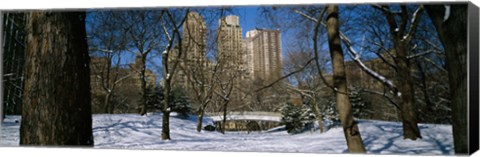 Framed Bare trees with buildings in the background, Central Park, Manhattan, New York City, New York State, USA Print