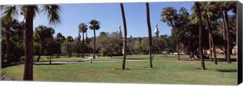 Framed Trees in a campus, University Of Tampa, Florida Print