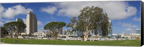 Framed Park in a city, Embarcadero Marina Park, San Diego, California, USA 2010 Print