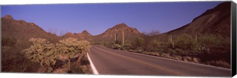 Framed Road Through Saguaro National Park, Arizona Print