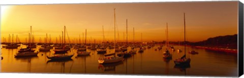 Framed Boats moored at a harbor at dusk, Chicago River, Chicago, Cook County, Illinois, USA Print