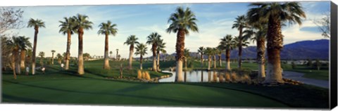 Framed Palm trees in a golf course, Desert Springs Golf Course, Palm Springs, Riverside County, California, USA Print