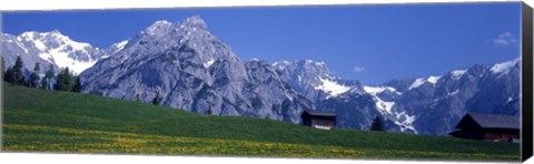 Framed Field Of Wildflowers With Majestic Mountain Backdrop, Karwendel Mountains, Austria Print