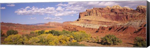 Framed Orchards in front of sandstone cliffs, Capitol Reef National Park, Utah, USA Print