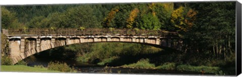 Framed Bridge in a forest, Black Forest, Germany Print