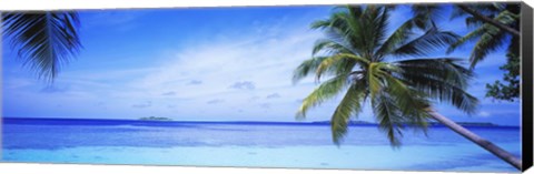 Framed Ocean, Island, Water, Palm Trees, Maldives Print