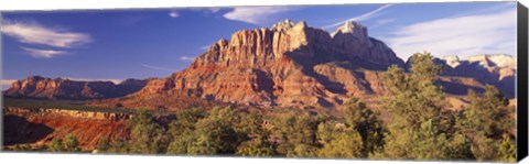 Framed Canyon surrounded with forest, Escalante Canyon, Zion National Park, Washington County, Utah, USA Print