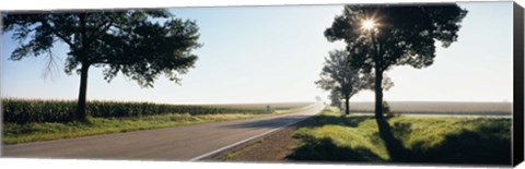 Framed Road passing through fields, Illinois Route 64, Illinois, USA Print