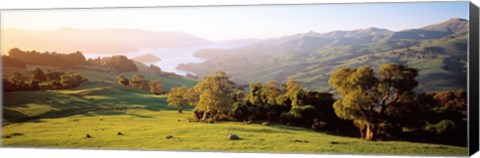 Framed Akaroa Harbor Canterbury New Zealand Print