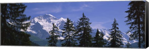 Framed Mountains covered with snow, Swiss Alps, Wengen, Bernese Oberland, Switzerland Print