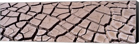 Framed Close-up of cracked mud, South Dakota, USA Print