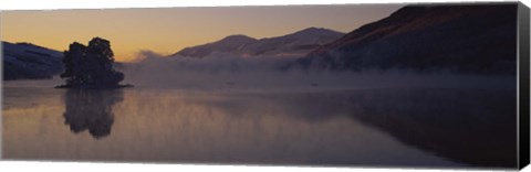 Framed Silhouette of a tree in a lake, Loch Tay, Tayside region, Scotland Print