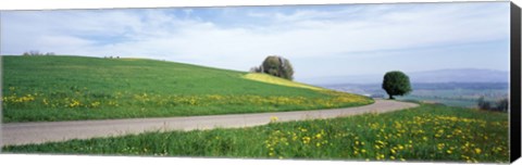 Framed Road Fields Aargau Switzerland Print