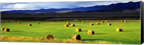 Framed Haystacks, Field, Jackson County, Colorado, USA Print