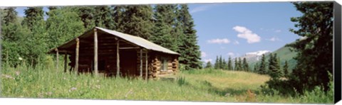 Framed Log Cabin In A Field, Kenai Peninsula, Alaska, USA Print