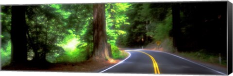 Framed Road, Redwoods, Mendocino County, California, USA Print