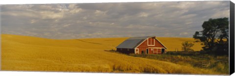 Framed Barn in a wheat field, Palouse, Washington State, USA Print