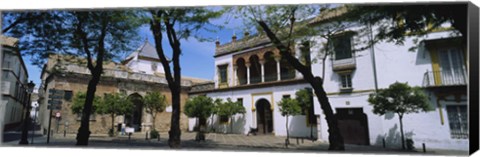 Framed Trees in front of buildings, Convento San Leandro, Plaza Pilatos, Seville, Spain Print